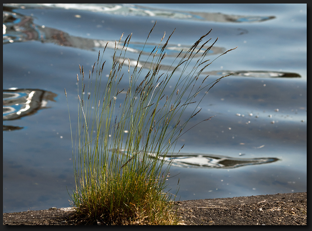 An der Spree