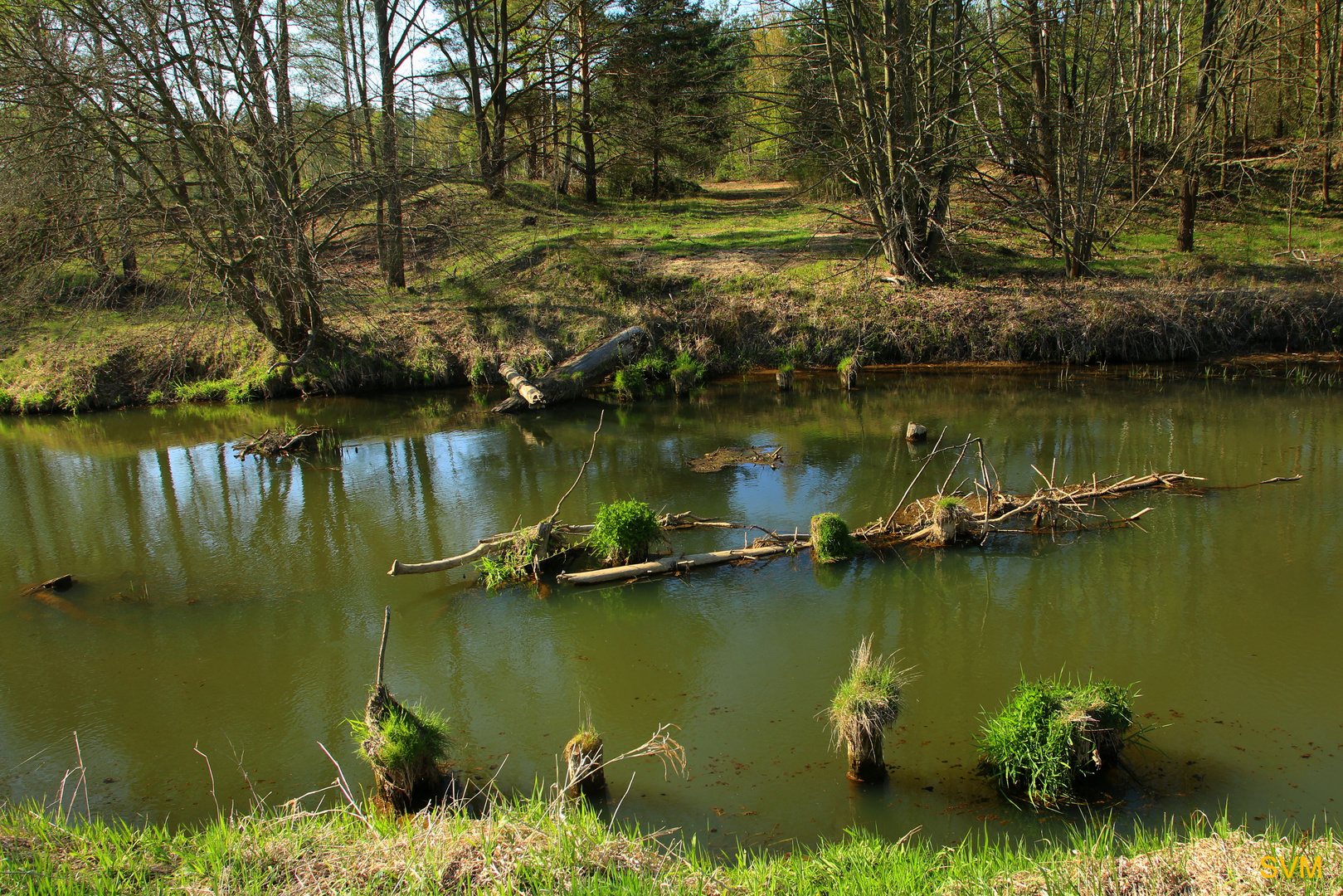 An der Spree bei Halbendorf