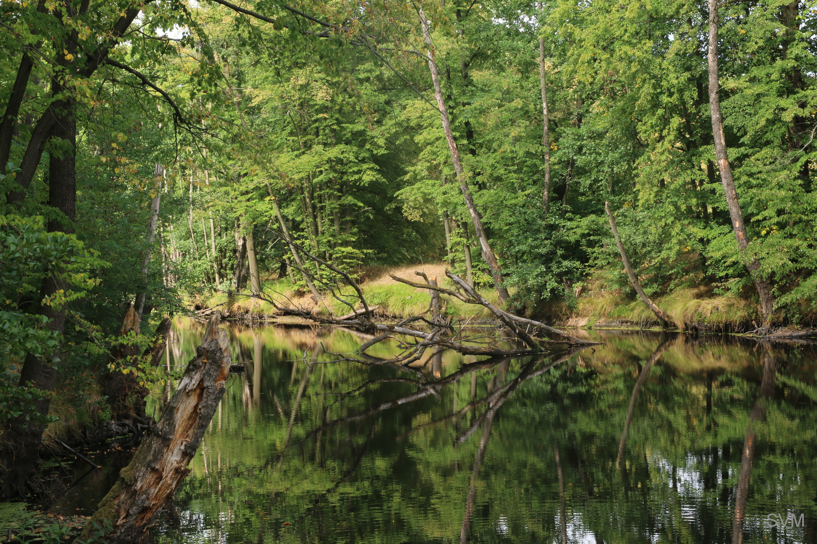 An der Spree bei Halbendorf