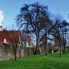 An der Stadtmauer (2)