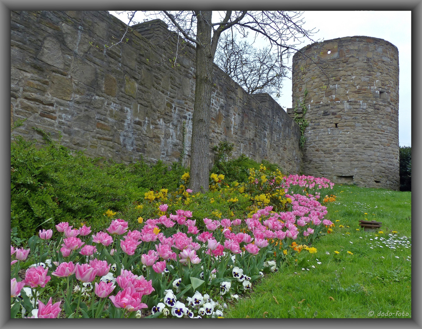 an der Stadtmauer