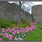 an der Stadtmauer