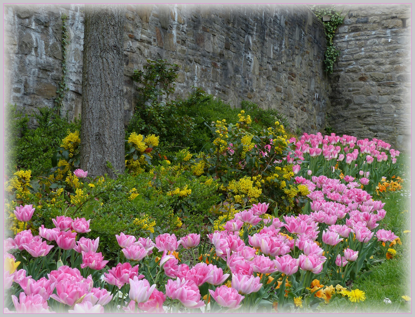 an der Stadtmauer ...