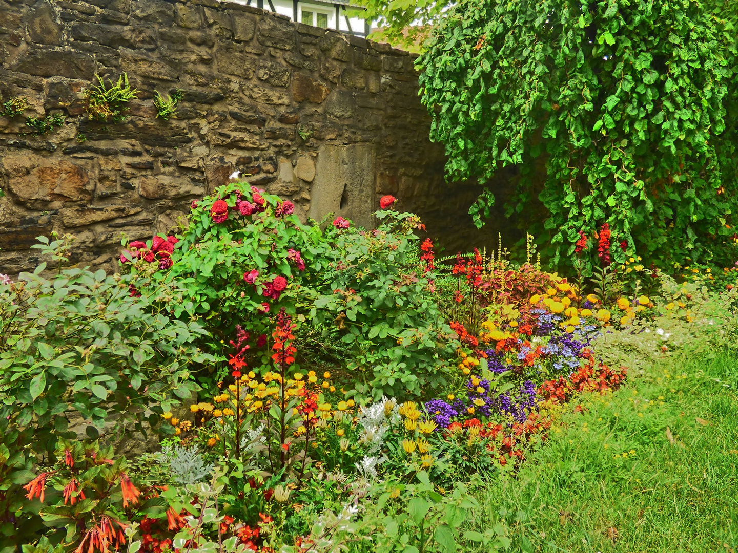 An der Stadtmauer in Hattingen/Ruhr Juli 2017