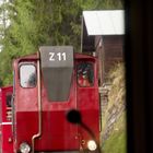 An der Station Dorneralp begegnen wir den talfahrenden Zug der Schafsbergbahn