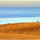 an der Steilküste der Ostsee