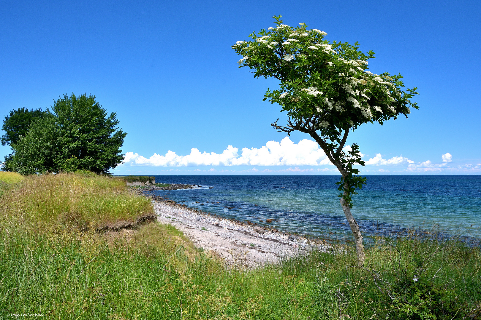 An der Steilküste im Südosten von Fehmarn (2)