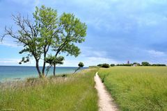 An der Steilküste im Südosten von Fehmarn (3)