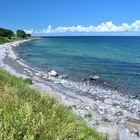 An der Steilküste im Südosten von Fehmarn (4)