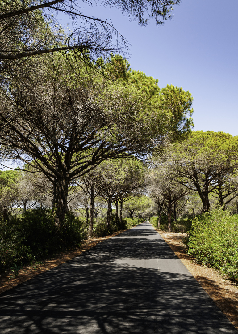 An der Strada del Mare