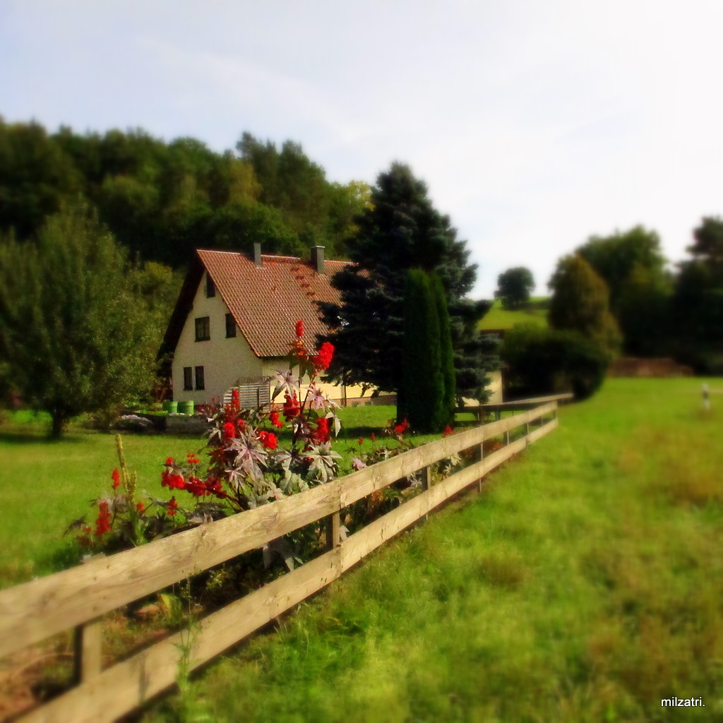 an der Straße entlang