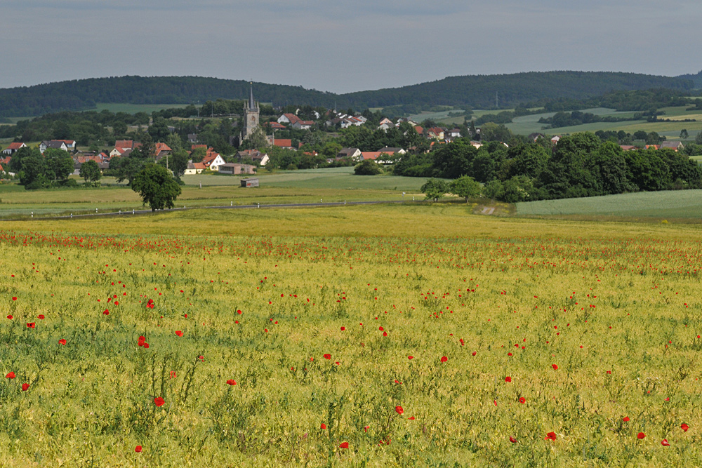 An der Straße nach Urspringen: Kleine Paradiese 05