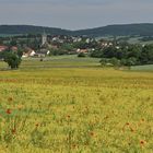 An der Straße nach Urspringen: Kleine Paradiese 05