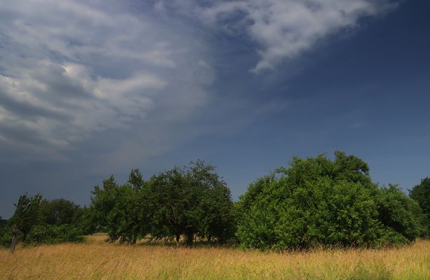 An der Streuobstwiese