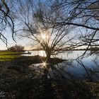 An der Süderelbe bei Finkenwerder -1