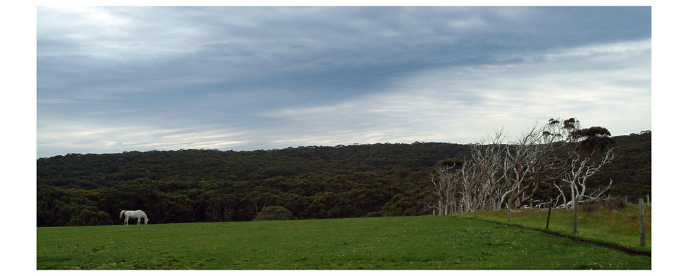 An der Südküste Australiens