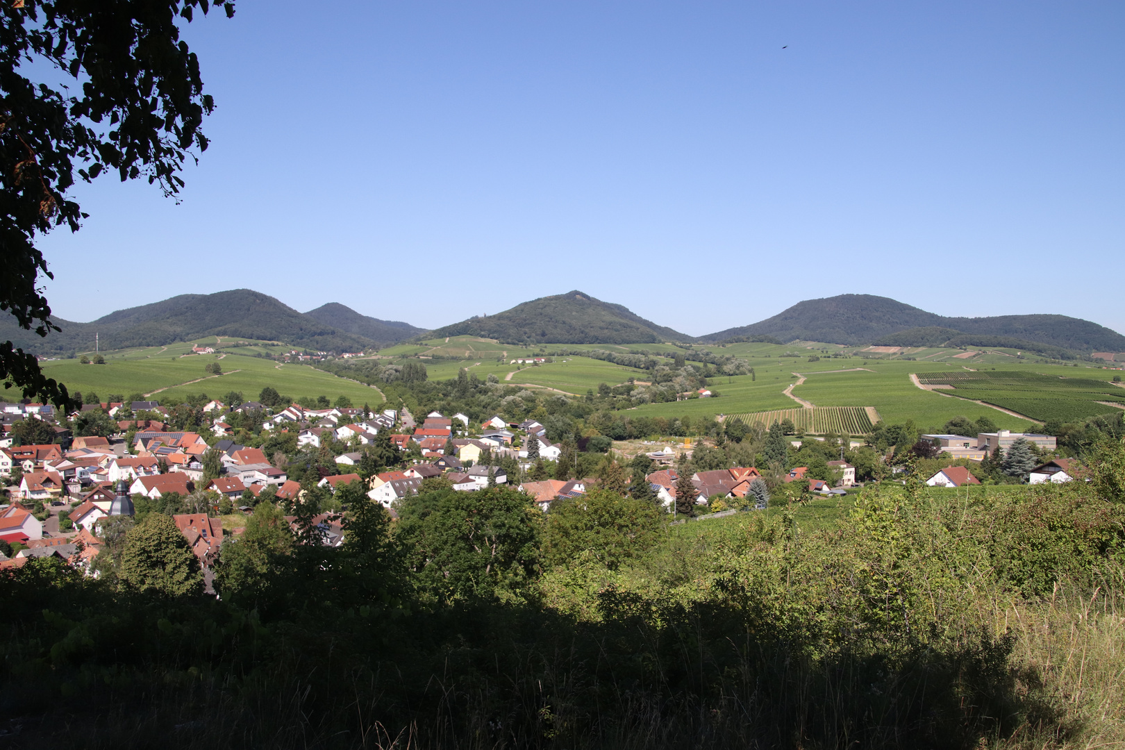 An der Südlichen Weinstraße