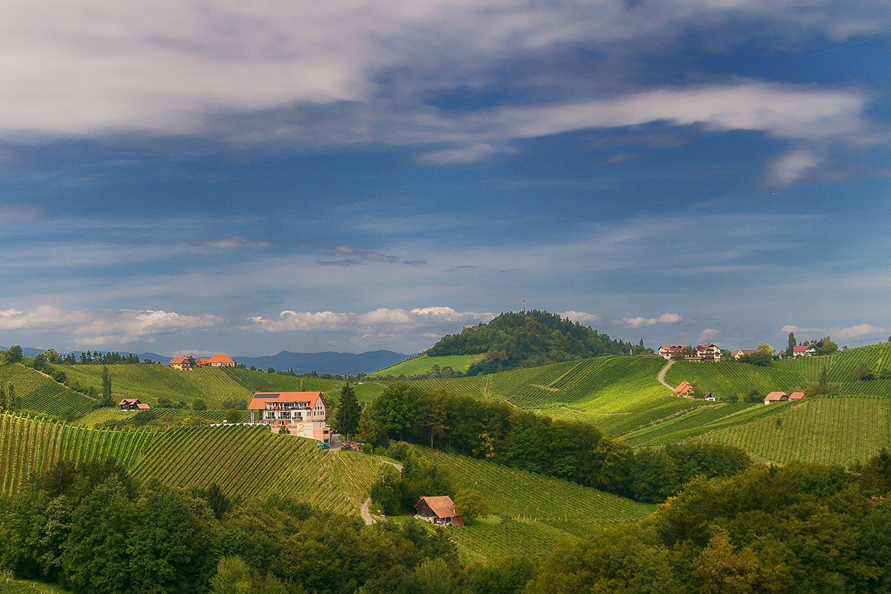 an der südsteirischen Weinstraße