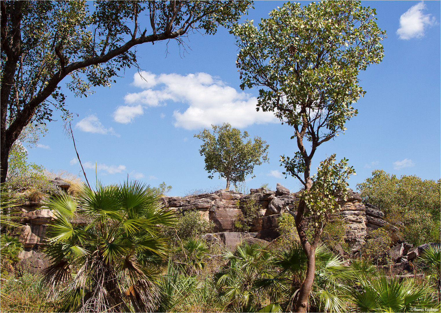 An der südwestlichen Grenze des Kakadu-Nationalparks