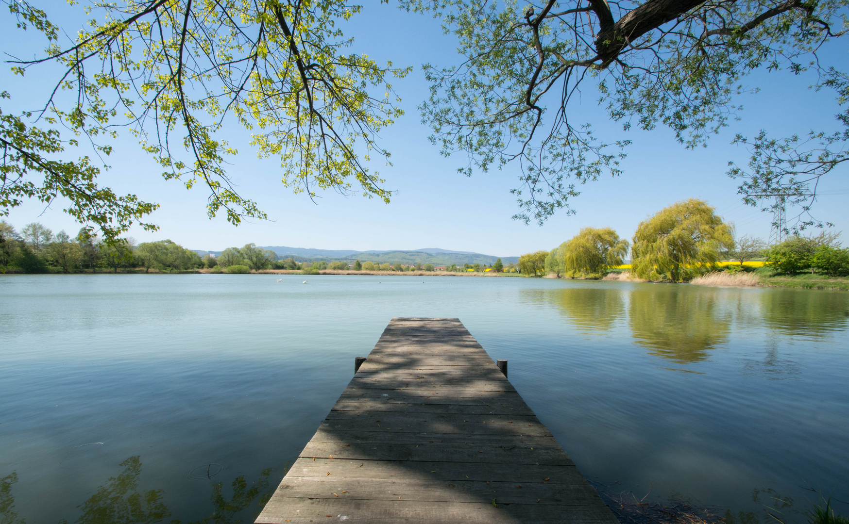 an der Teichmühle mit Blick zum Brocken