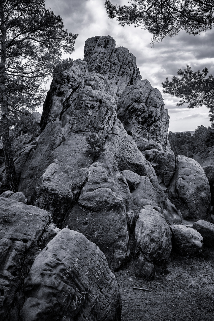 An der Teufelsmauer bei Blankenburg