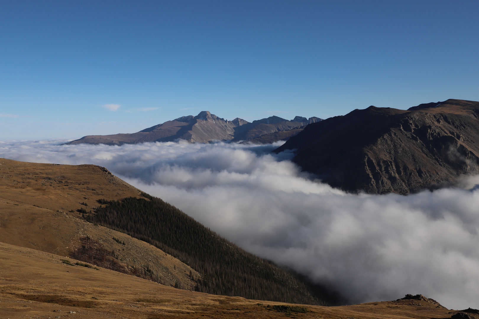 An der Trail Ridge Road...