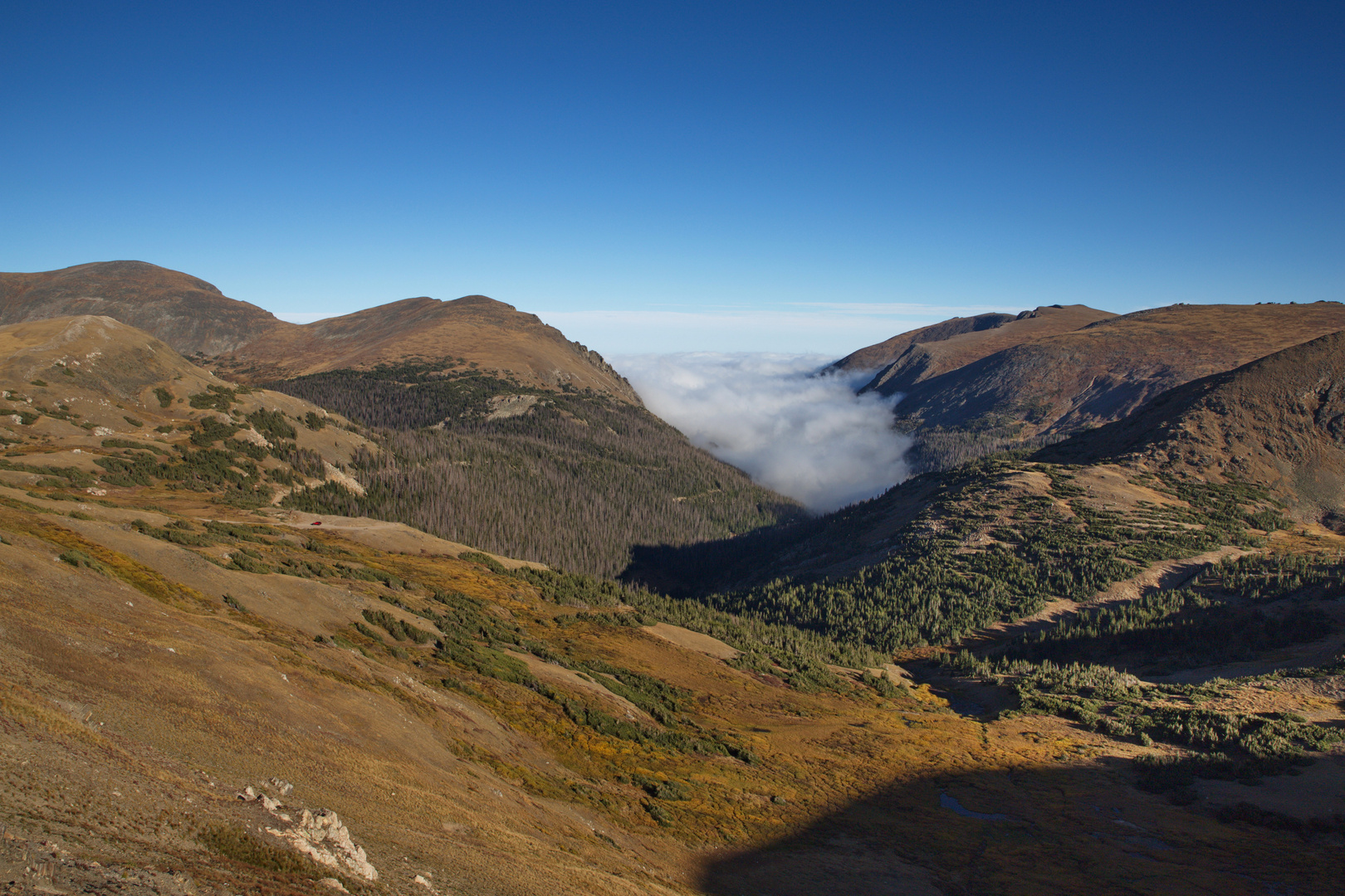 An der Trail Ridge Road...