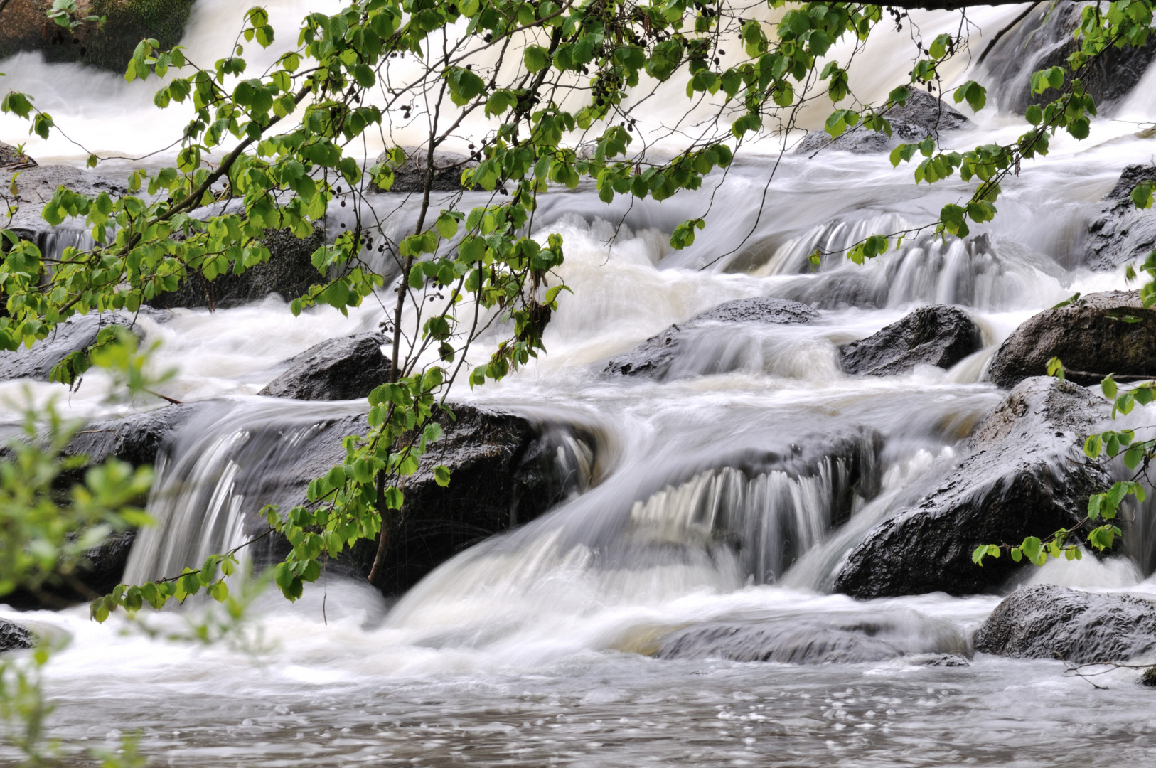 An der Trave