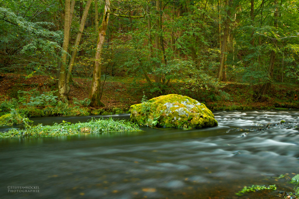 An der Trieb