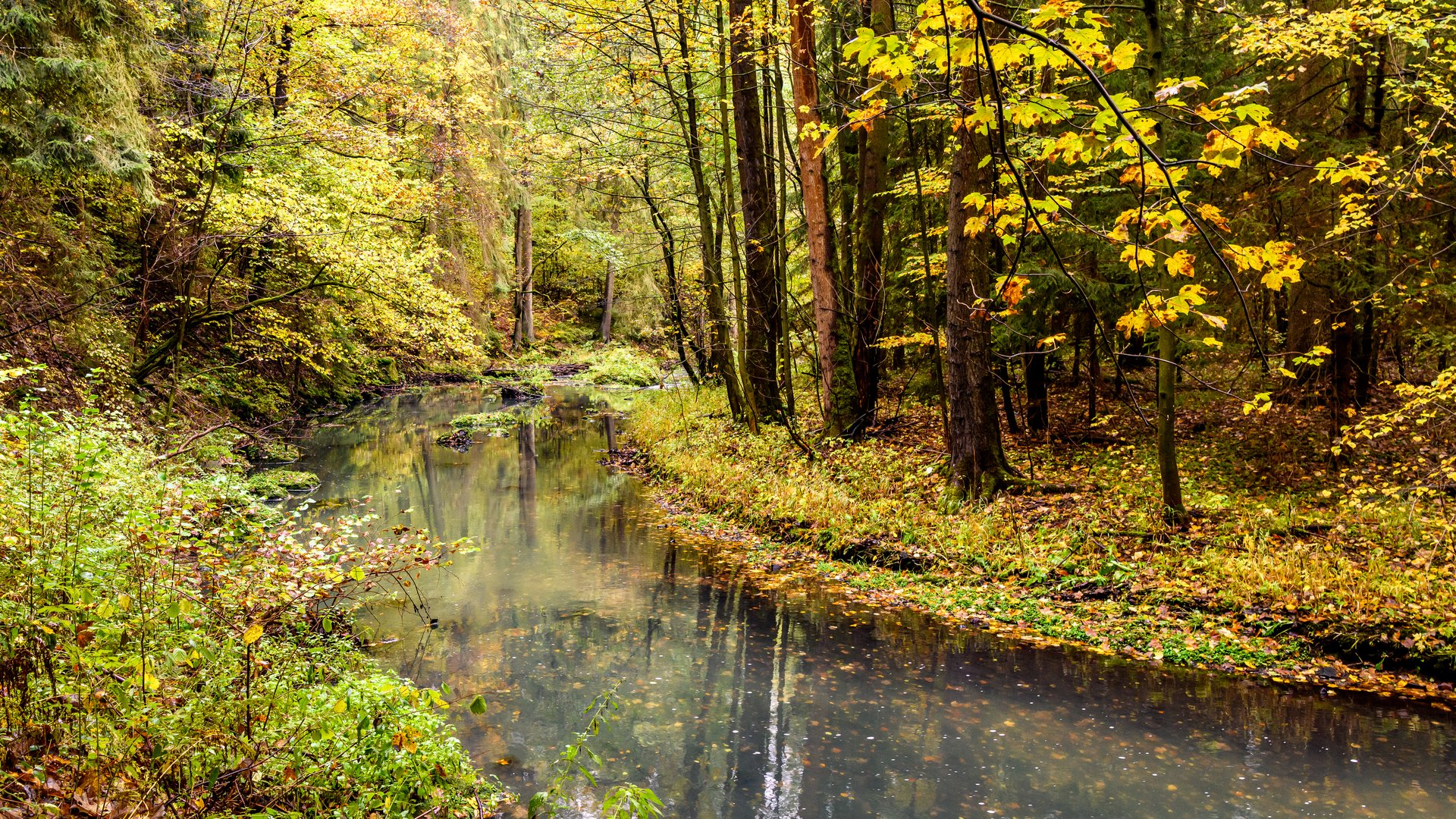 An der Trieb im Vogtland