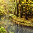 An der Trieb im Vogtland