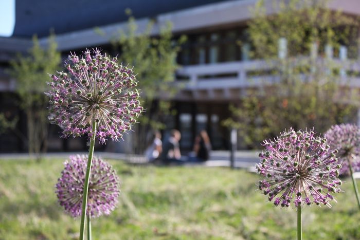 An der Uni: Aufstrebende Köpfchen zur Maienzeit