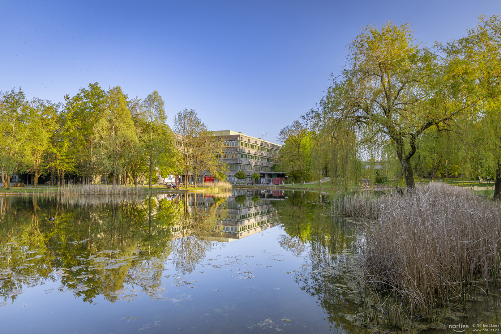 An der Universität