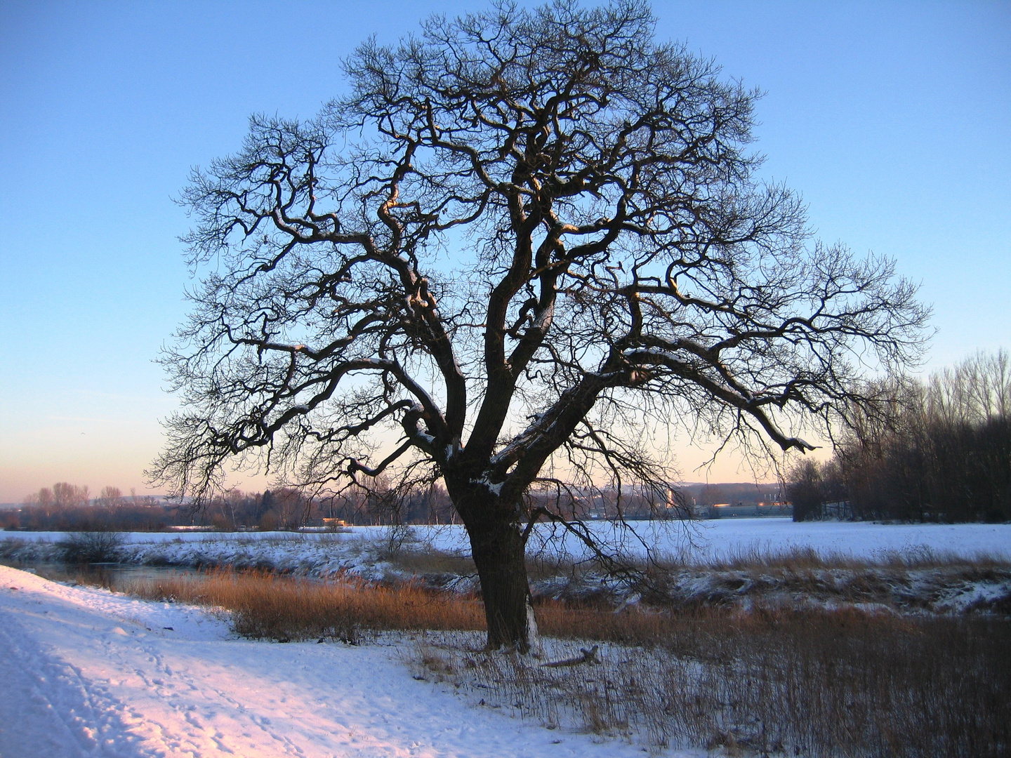 An der verschneiten Werre in Löhne II