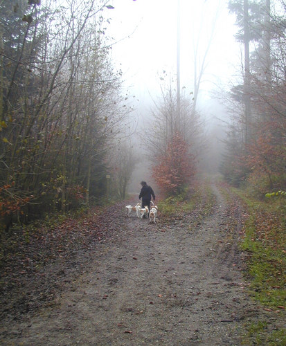 An der Verzweigung