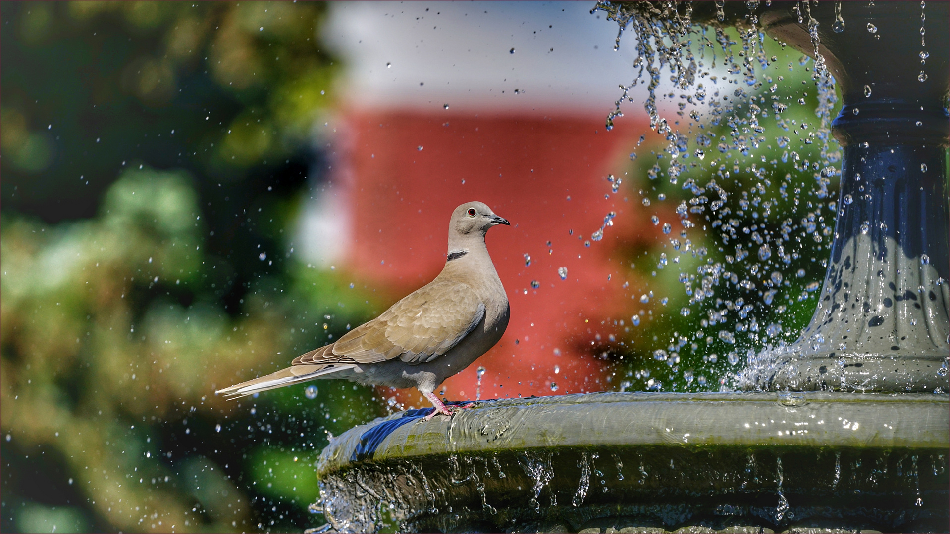 an der Vogeldusche ....