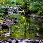 An der Vologne. France, Lorraine, Gerardmer