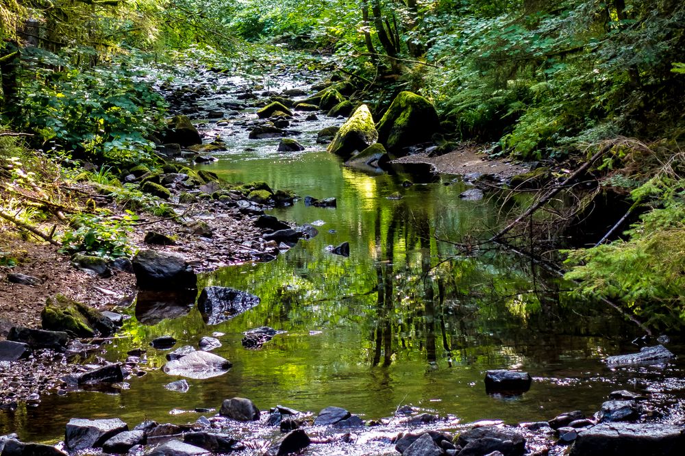 An der Vologne. France, Lorraine, Gerardmer