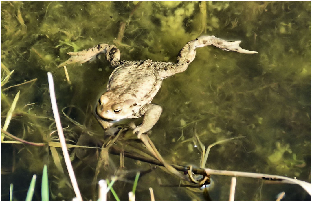 An der wärmenden Sonne