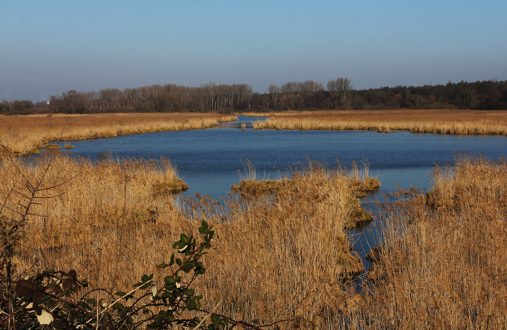 An der Wagbachniederung