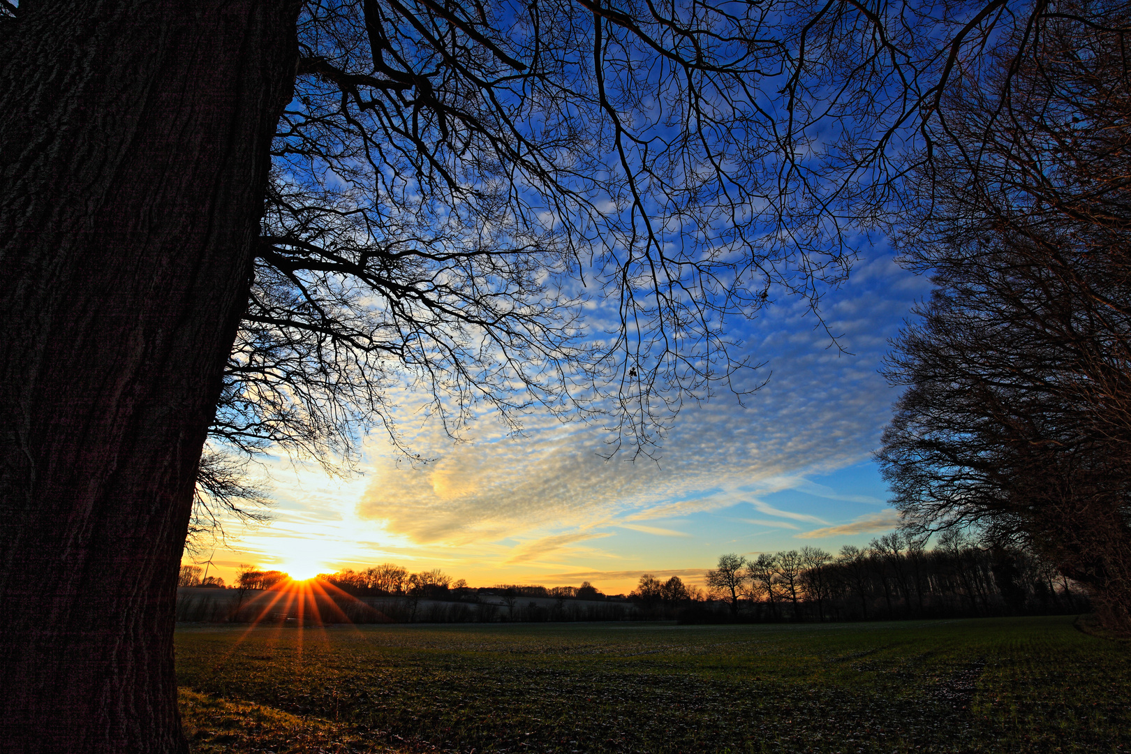 An der Waldlichtung