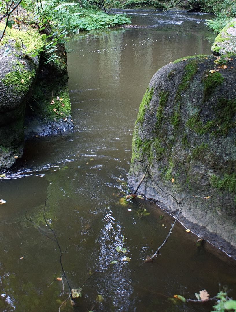 An der Waldnaab