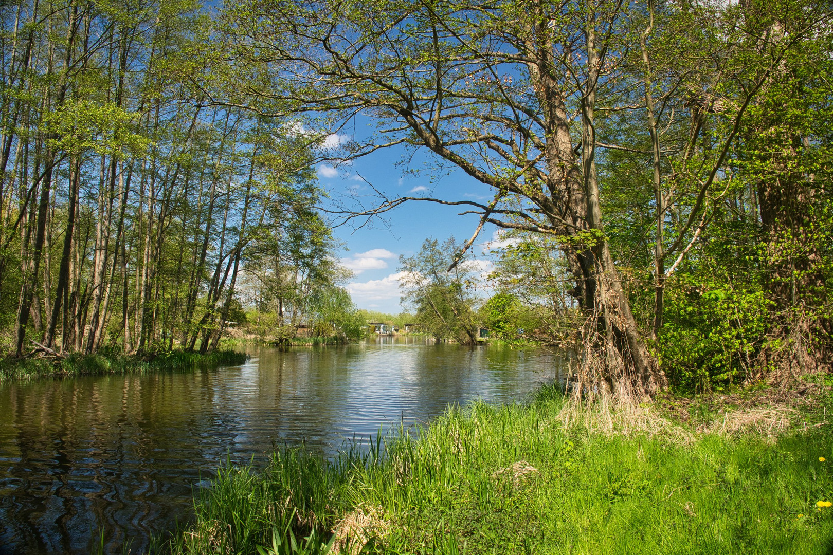 an der Warnow bei Bützow