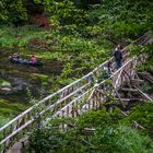 an der Warnowbrücke