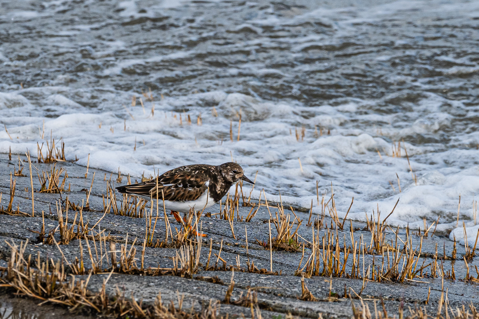 An der Wasserkante-