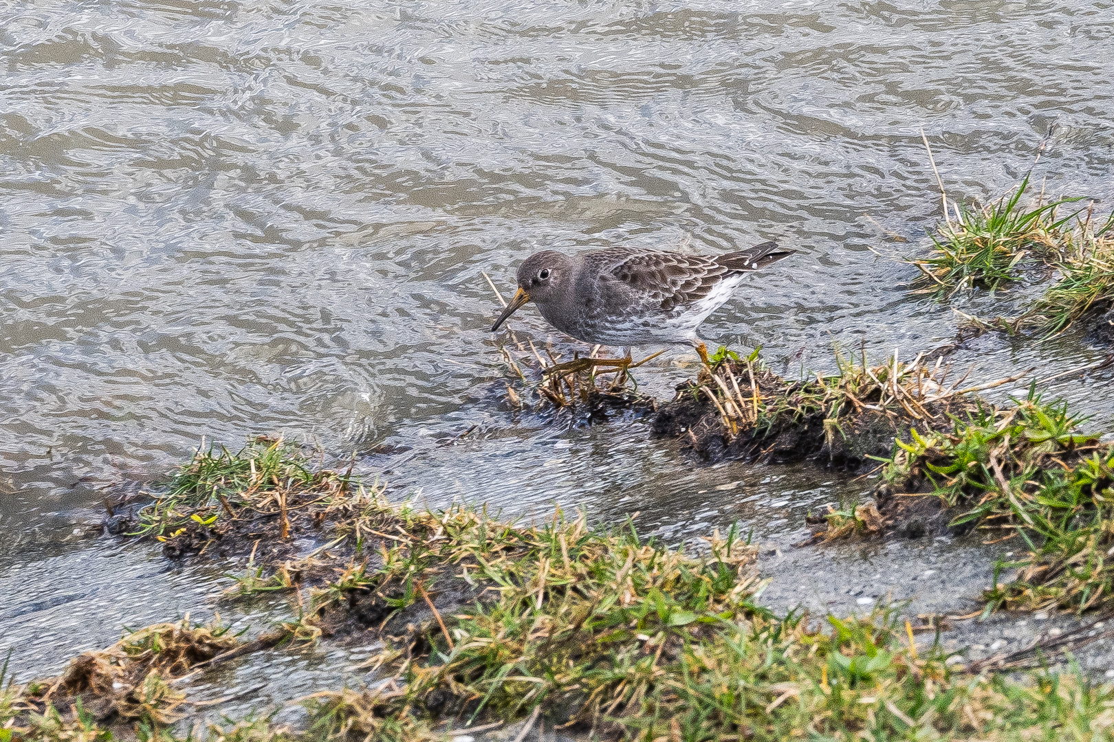 An der Wasserkante 2-