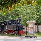 An der Wassertalbahn in Viseu de Sus