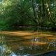 An der Wassertretstelle in Wietzendorf