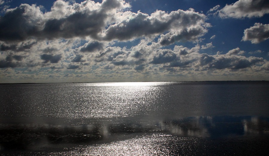 An der Waterkannt Büsum/Deichhausen (Nordsee)