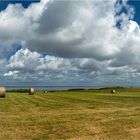 An der Wattseite in Morsum, Sylt